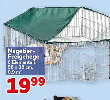Nagetier-Freigehege 6 Elemente à 58 x 38 cm, 0,9 m²
