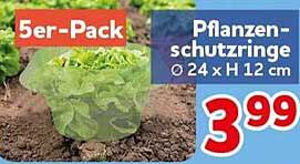 Pflanzenschutzringe Ø 24 x H 12 cm