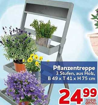 Pflanzentreppe