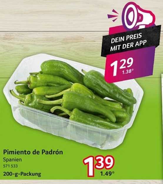 Pimiento de Padrón