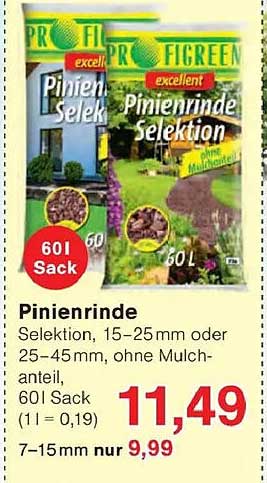 Pinienrinde Selektion