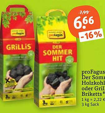proFagus Der Sommerhit Holzkohle oder Grill-Briquetts