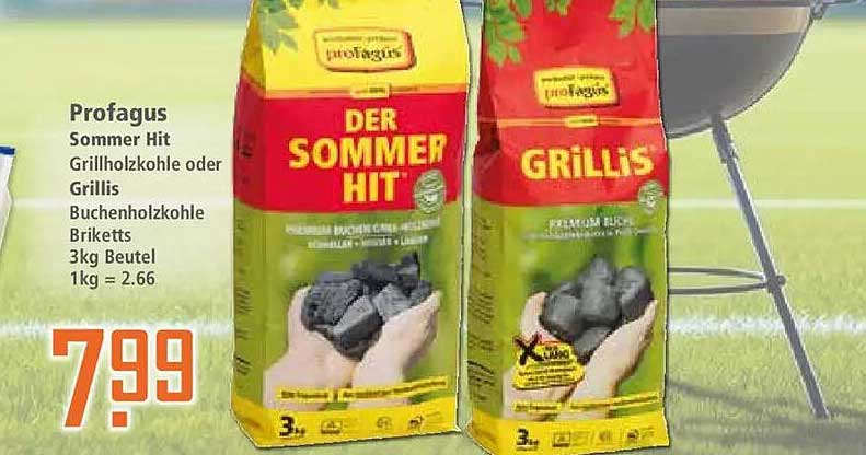 Protagus Sommer Hit Grillholzkohle oder Grillis Buchenholzkohle Briketts 3kg Beutel 1kg = 2.66