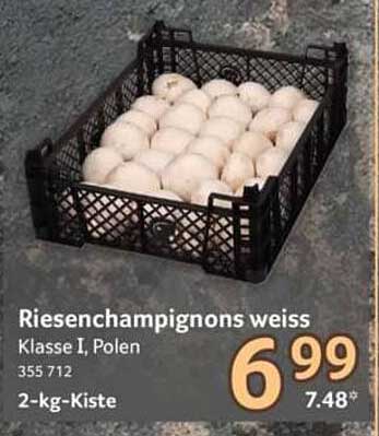 Riesenchampignons weiss