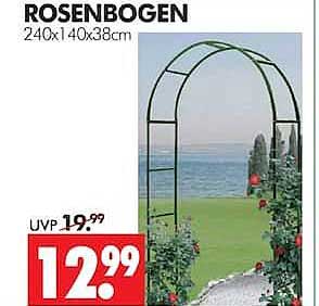 ROSENBOGEN 240x140x38cm