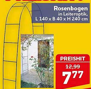 Rosenbogen in Leiteroptik, L 140 x B 40 x H 240 cm