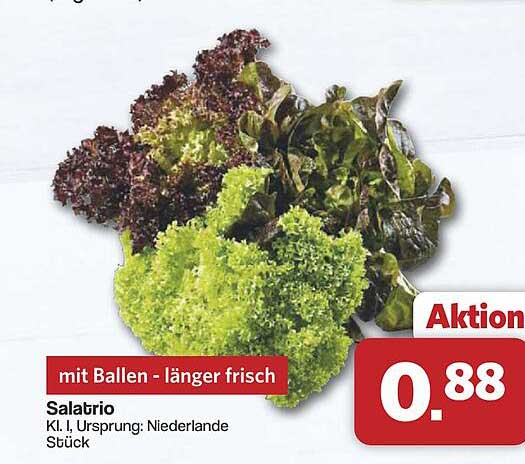 Salatrio