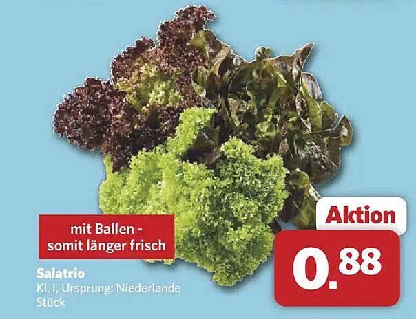 Salatrio