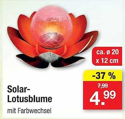Solar-Lotusblume mit Farbwechsel