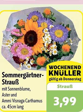 Sommergärtner-Strauß mit Sonnenblume, Aster und Ammi Visnaga Carthamus ca. 45cm lang