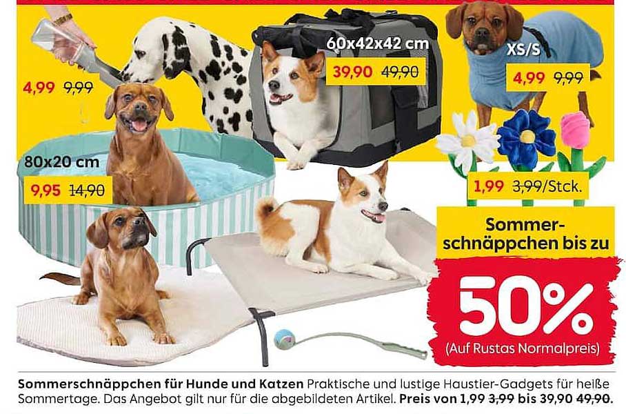 Sommerschnäppchen für Hunde und Katzen