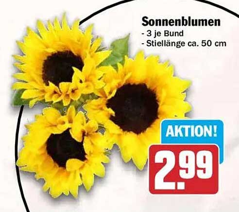 Sonnenblumen
