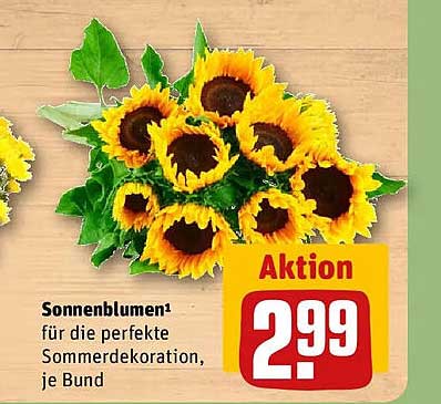 Sonnenblumen¹ für die perfekte Sommerdekoration, je Bund