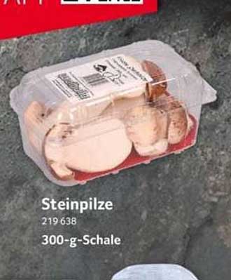 Steinpilze