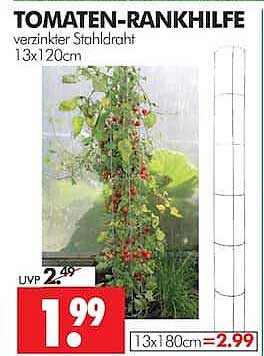 TOMATEN-RANKHILFE