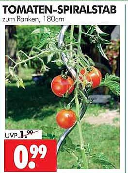 TOMATEN-SPIRALSTAB