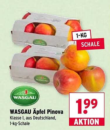 WASGAU Äpfel Pinova