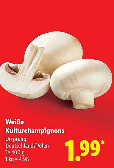 Weiße Kulturchampignons