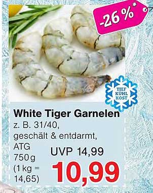 White Tiger Garnelen