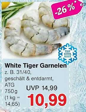 White Tiger Garnelen