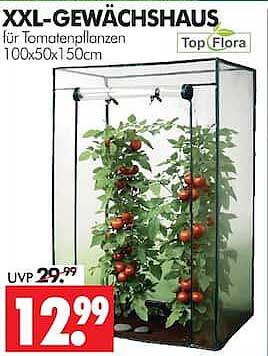 XXL-GEWÄCHSHAUS für Tomatenpflanzen 100x50x150cm