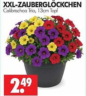 XXL-ZAUBERGLÖCKCHEN