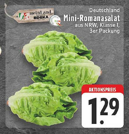 Mini-Romanasalat aus NRW, Klasse I, 3er Packung