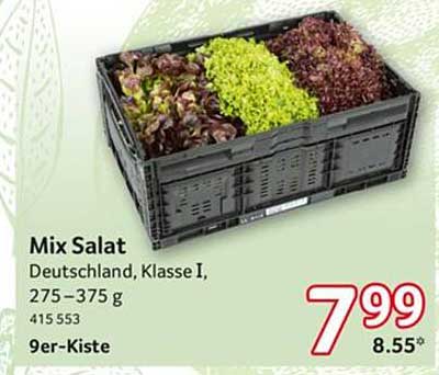 Mix Salat Deutschland, Klasse I, 275–375 g, 9er-Kiste
