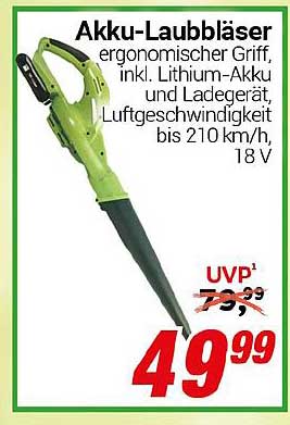 Akku-Laubbläser - ergonomischer Griff, inkl. Lithium-Akku und Ladegerät