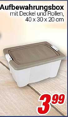 Aufbewahrungsbox mit Deckel und Rollen, 40 x 30 x 20 cm