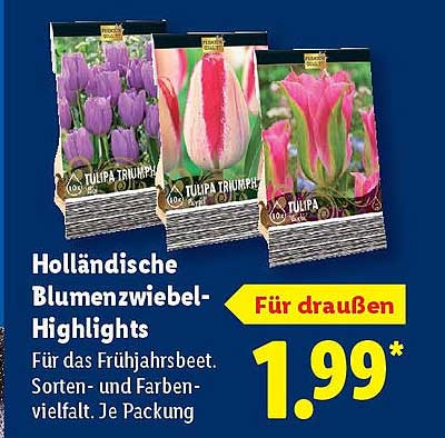 Holländische Blumenzwiebel-Highlights für das Frühjahr