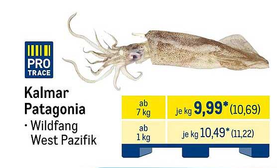 Kalmar Patagonia - Wildfang aus dem Westpazifik