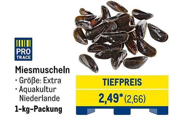 Miesmuscheln 1-kg-Packung - Tiefpreis