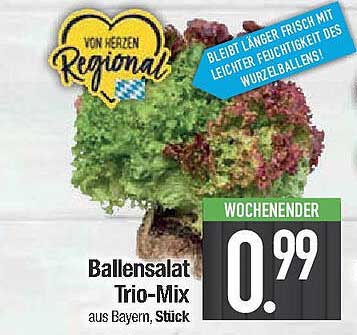 Ballensalat Trio-Mix aus Bayern, Stück