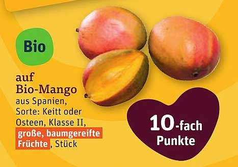 Bio-Mango aus Spanien, Sorte: Keitt oder Osteen, Klasse II