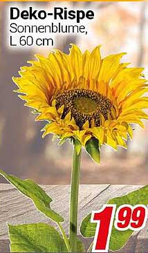 Deko-Rispe Sonnenblume, L 60 cm
