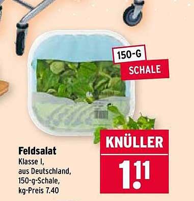 Feldsalat Klasse I, aus Deutschland, 150-g-Schale