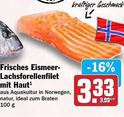 Frisches Eismeer-Lachsforellenfilet mit Haut
