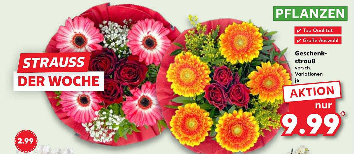 Geschenkstrauß verschiedener Variationen für nur 9,99 €