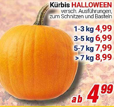 Kürbis HALLOWEEN - verschiedene Ausführungen zum Schnitzen und Basteln