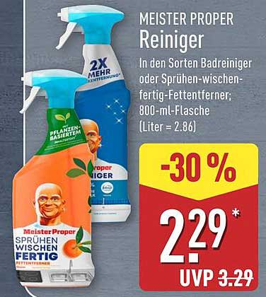 MEISTER PROPER Reiniger - 800 ml Flasche