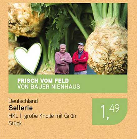 Sellerie HKL I, große Knolle mit Grün Stück