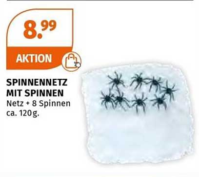 Spinnennetz mit Spinnen