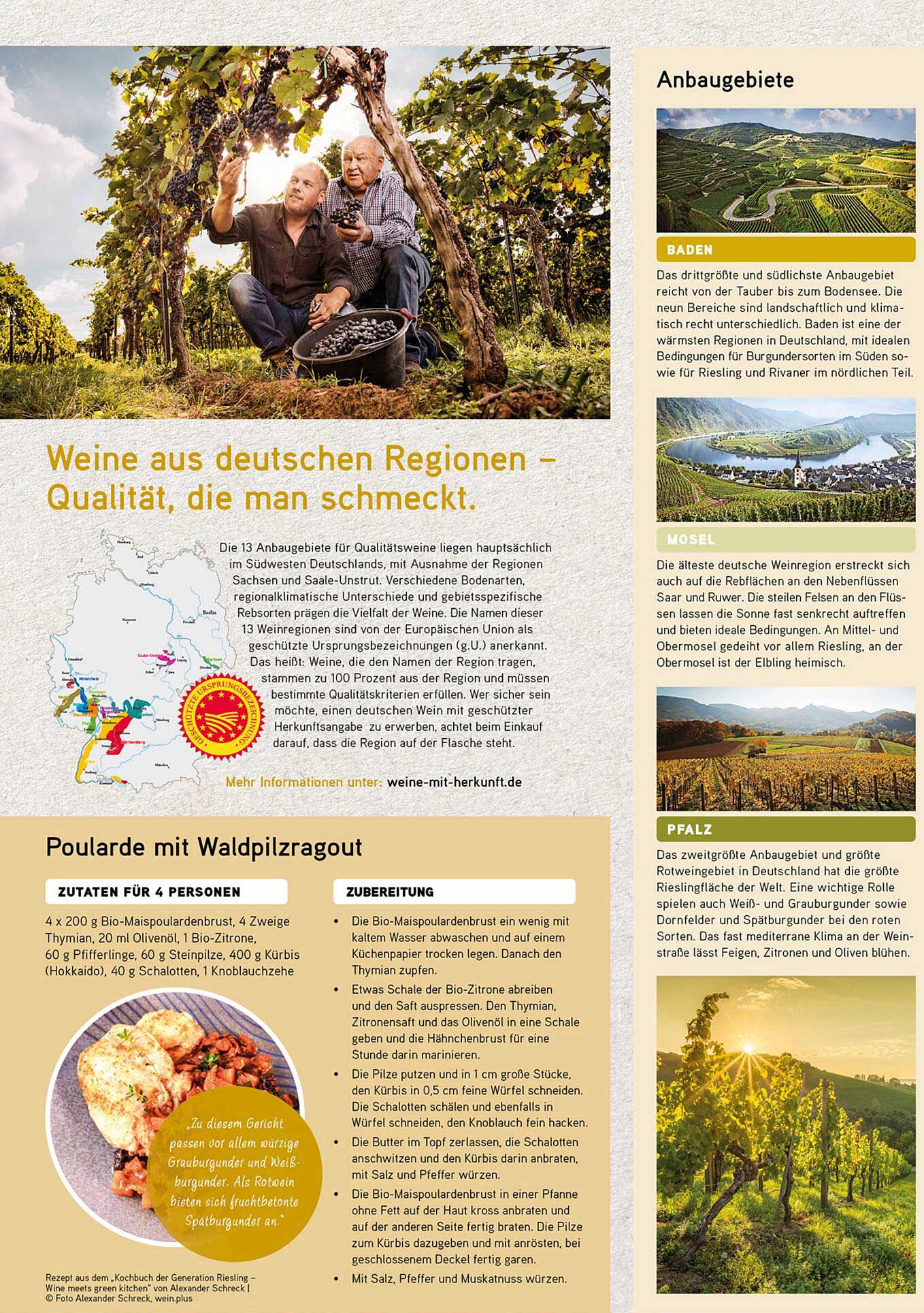 Weine aus deutschen Regionen – Qualität, die man schmeckt.