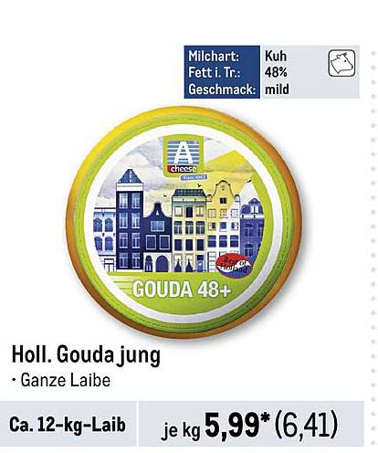 Holl. Gouda jung