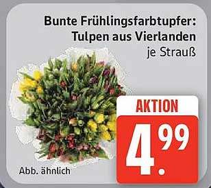 Bunte Frühlingsfarbtupfer: Tulpen aus Vierlanden je Strauß