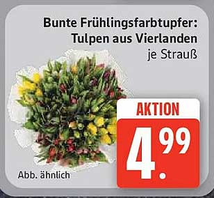 Bunte Frühlingsfarbtupfer: Tulpen aus Vierlanden je Strauß