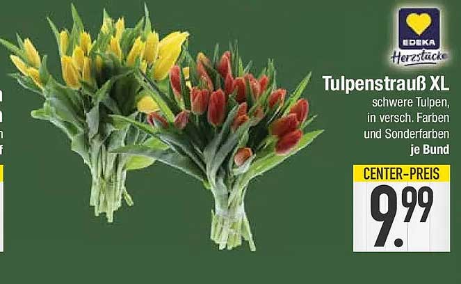 Tulpenstrauß XL schwere Tulpen, in versch. Farben und Sonderfarben je Bund