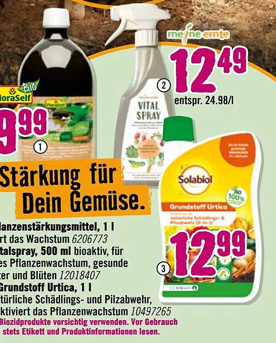 Stärkung für Dein Gemüse: Pflanzenstärkungsmittel und Vital Spray