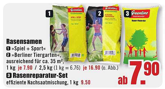 Rasensamen